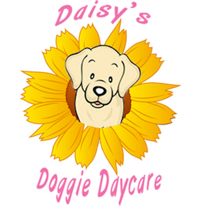 Daisy's Doggie Daycare